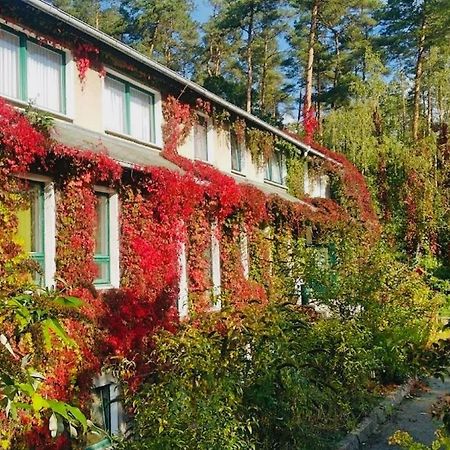 Pension Zur Fledermaus Waren  Exterior foto
