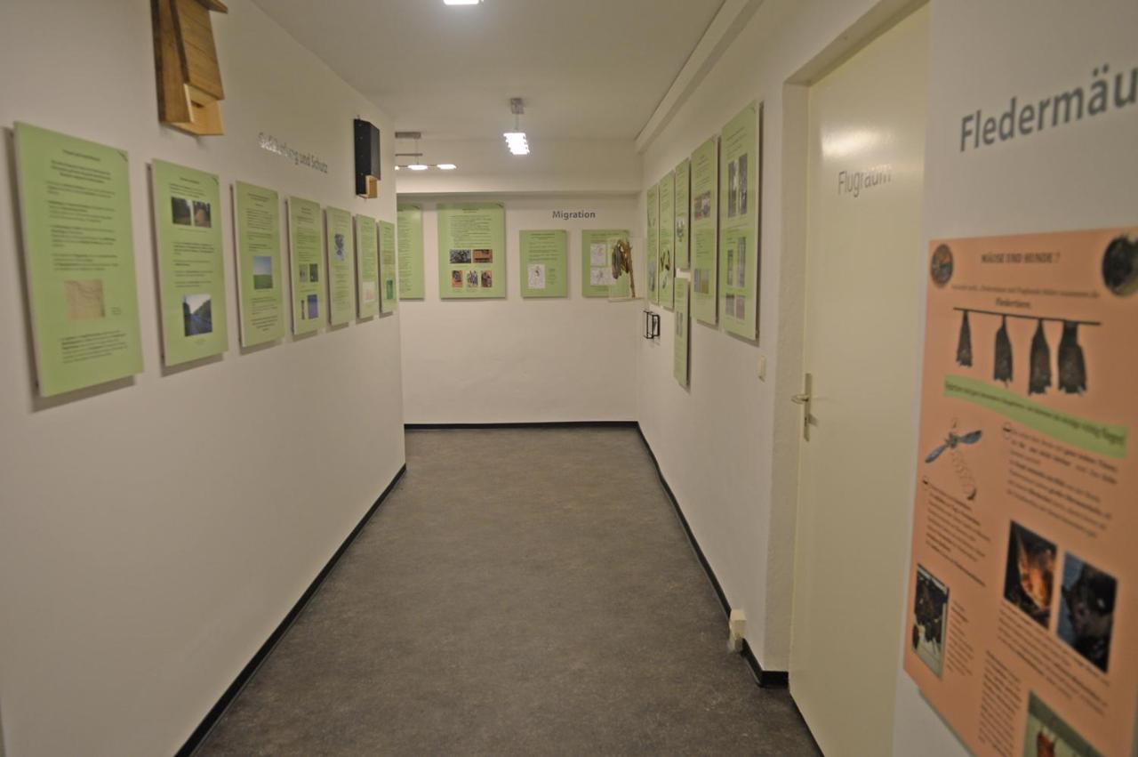 Pension Zur Fledermaus Waren  Exterior foto